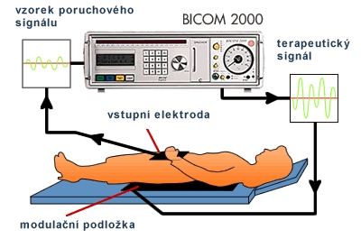 Bicom 2000